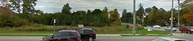 New Site Development